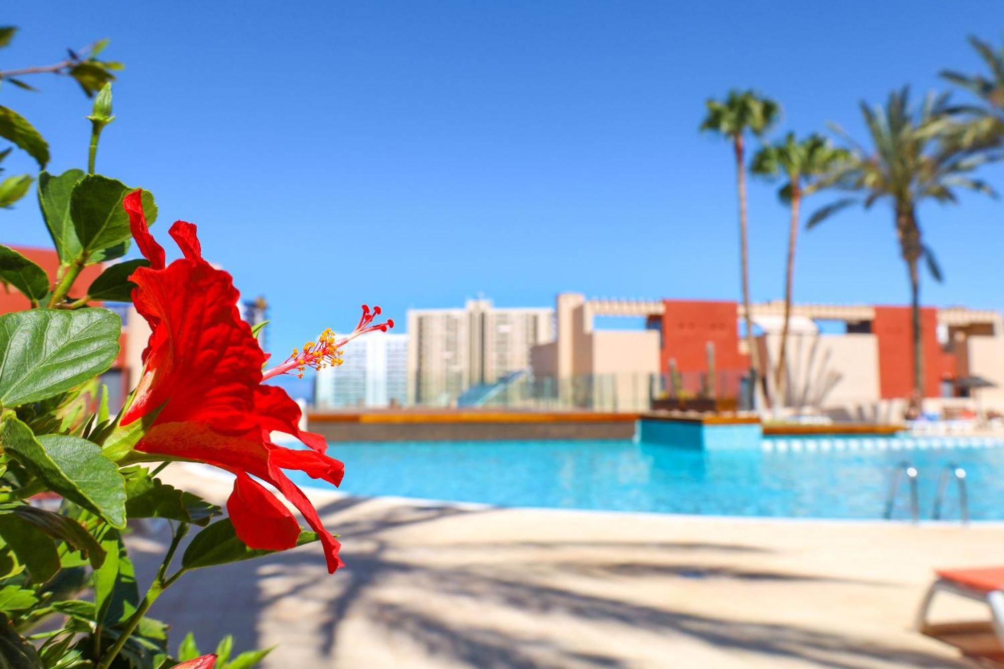 Relax In Paraiso Playa Paraiso (Tenerife) Exterior foto